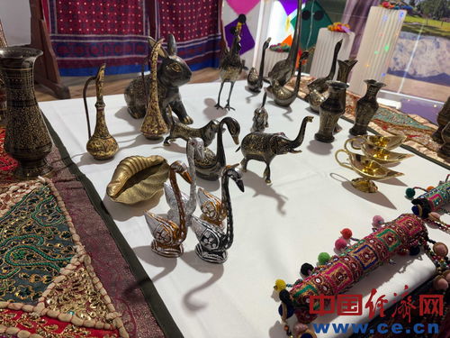 文化交流的華章 巴基斯坦駐華使館學(xué)校國(guó)際文化日精彩紛呈